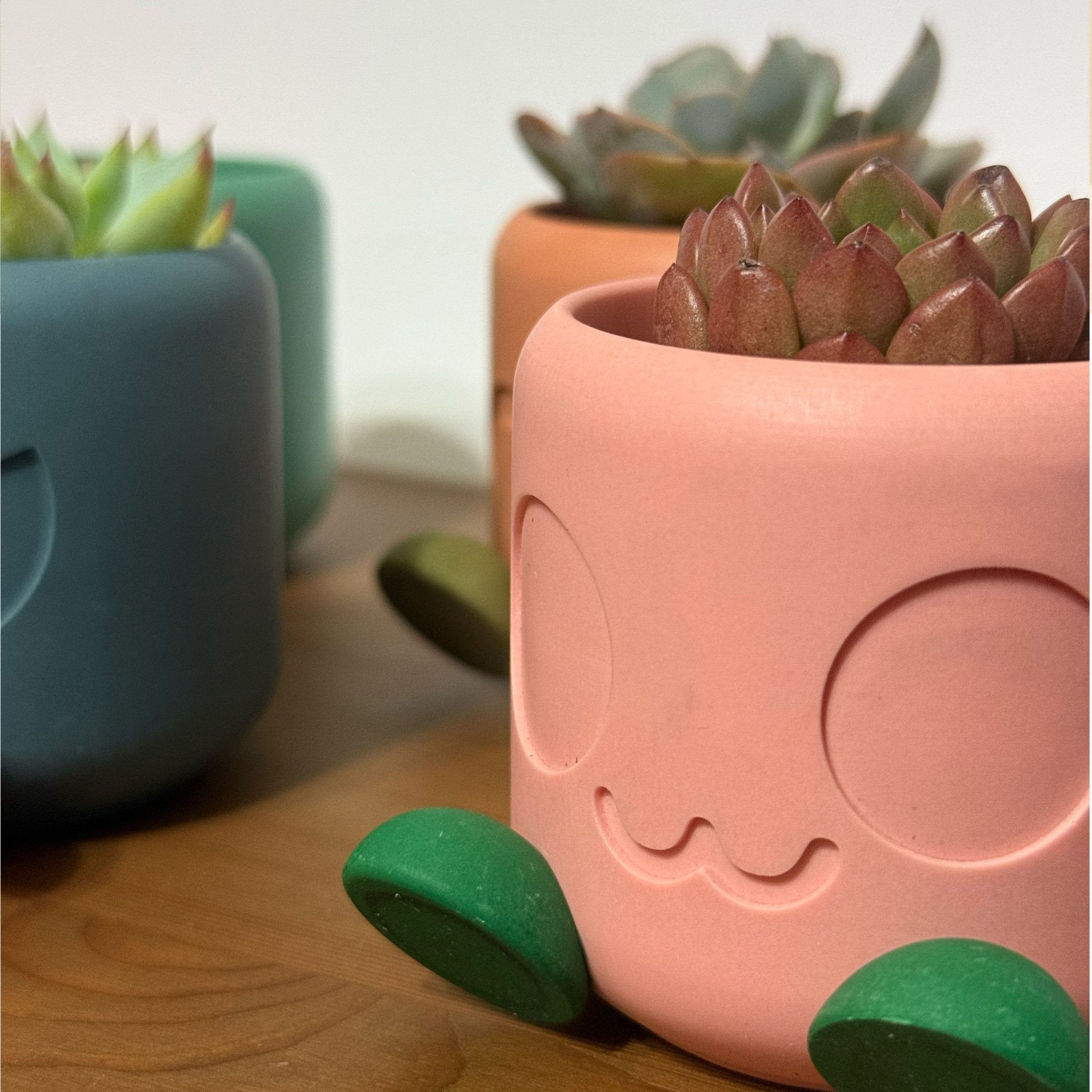 Chonky Pot Mood Edition in pink with green feet holding succulents, close-up front view