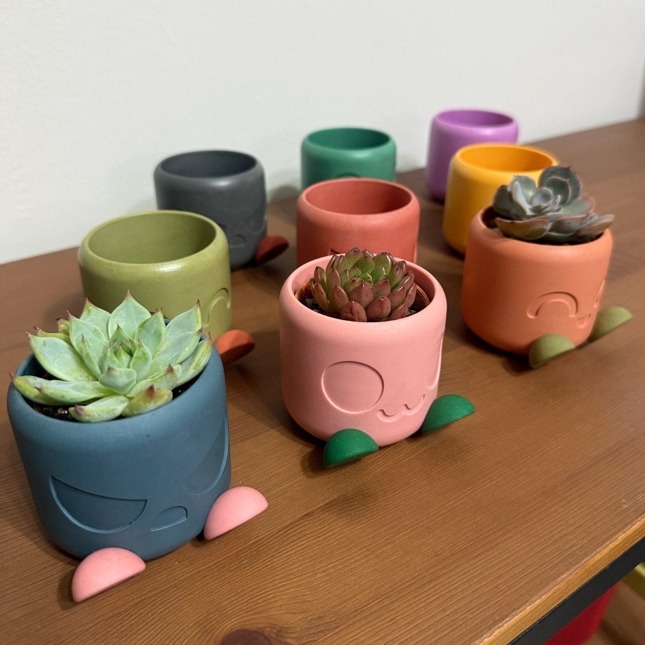 Collection of Chonky Pot Mood Edition planters in multiple colours on a wooden shelf with succulents