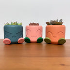 Chonky Pot Mood Edition planters in teal, pink and orange lined up on a wooden surface