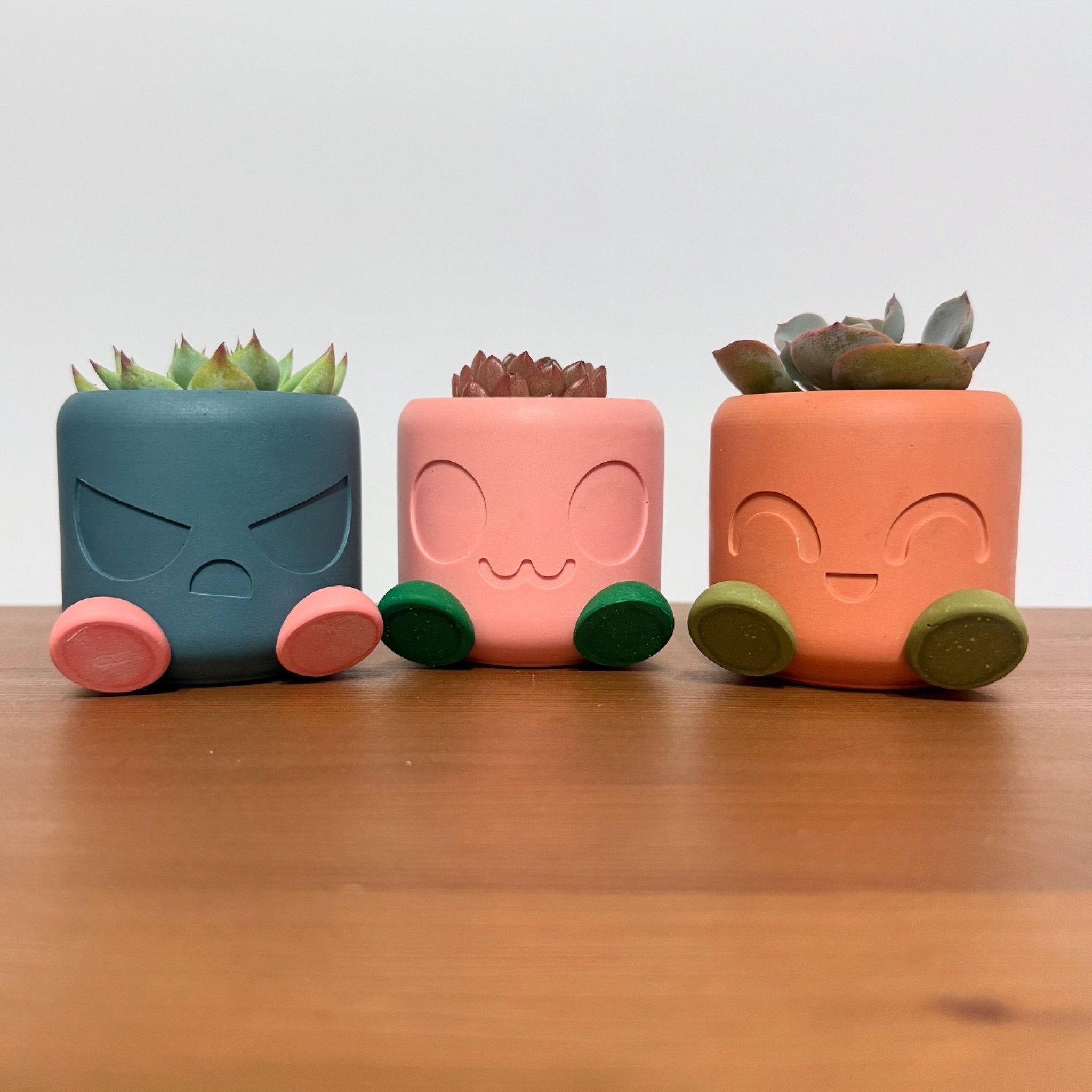 Chonky Pot Mood Edition planters in teal, pink and orange lined up on a wooden surface
